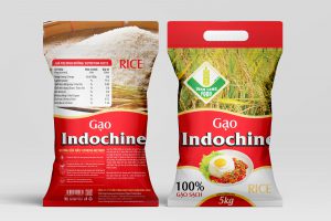 Xuất khẩu gạo năm 2022 của Việt nam dự kiến đạt 6,3 -6,5 triệu tấn